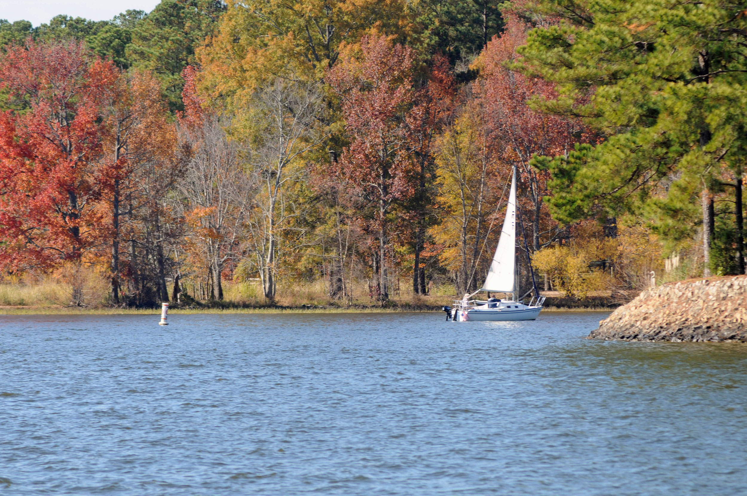 Sailboat on a lake